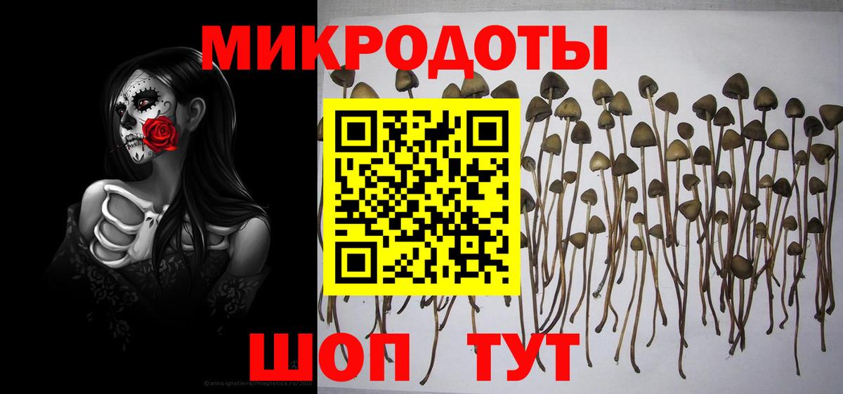 Галлюциногенные грибы Cubensis  Вход с VPN  Малоярославец 