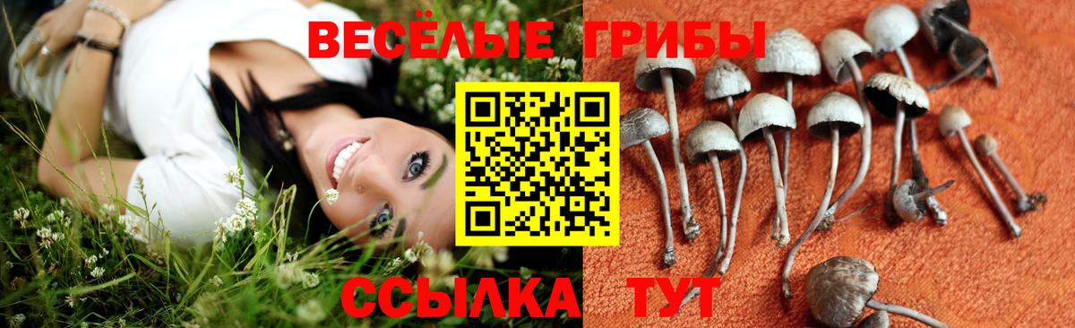 Галлюциногенные грибы мицелий Малоярославец